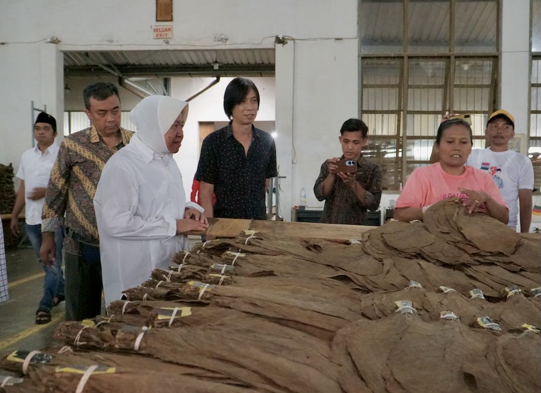 Dukung Risma Pimpin Jawa Timur, Ini Harapan Para Buruh Tembakau di Jember